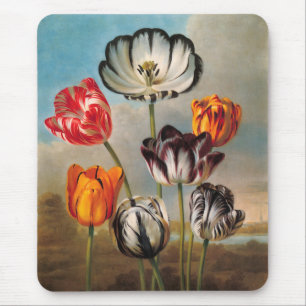 Oude gevarieerde tulp bloemen in een landschap muismat