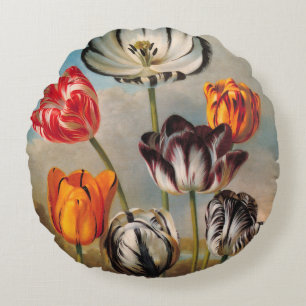 Oude gevarieerde tulp bloemen in een landschap rond kussen