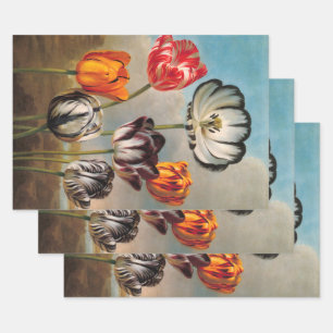 Oude gevarieerde tulpbloemen in een landschap inpakpapier vel