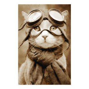Oude Goggle Kat Sjaal Retro Print Foto Afdruk