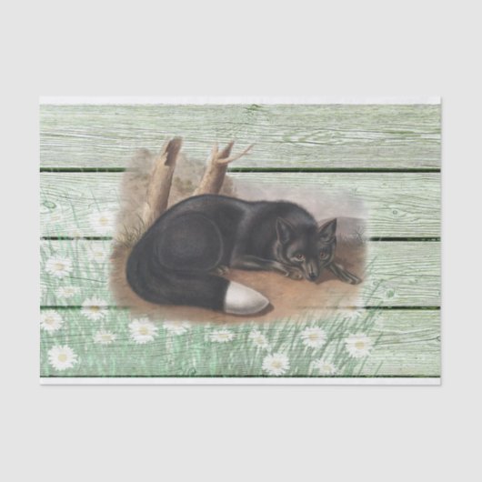  oude groene houtextuur Amerikaanse Fox Tissuepapier (Voorkant)