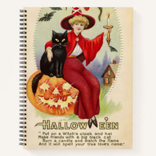 Oude Halloween Heks en Zwarte Kat Notitieboek