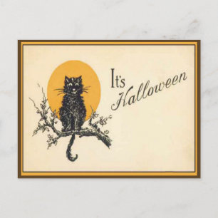 Oude Halloween kat ansichtkaart Briefkaart