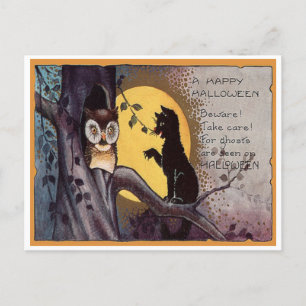 Oude Halloween Uil & Kat Ansichtkaart Briefkaart