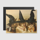Oude Halloween Zwarte Katten (Voorkant / Achterkant)