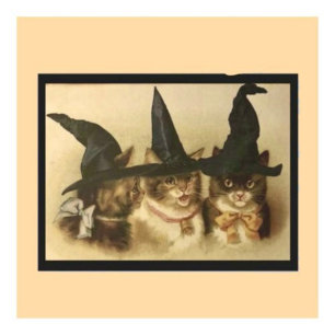 Oude Halloween Zwarte Katten Briefkaart