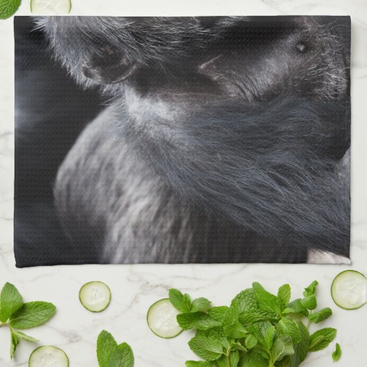 Oude handdoek van Chimpansee (Gevouwen)