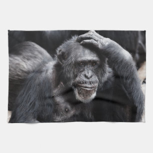 Oude handdoek van Chimpansee