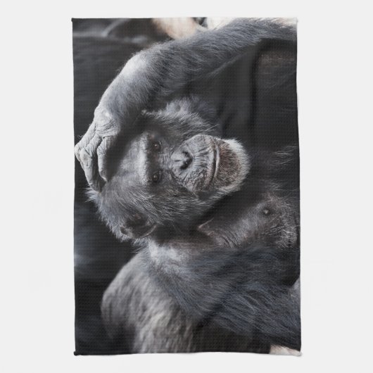 Oude handdoek van Chimpansee (Verticaal)
