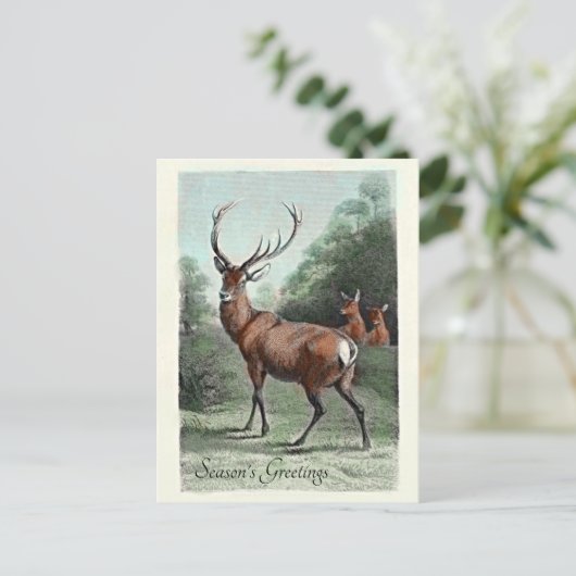 Oude hertenbok in het rood ingekleurd met Seizoens Briefkaart (Staand voorkant)