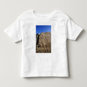 Oude hiërogliefen op muur, Tempel van Karnak, Kinder Shirts