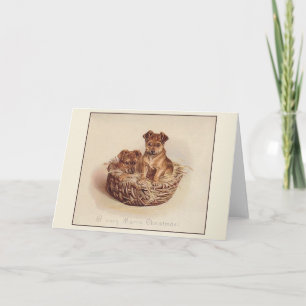 Oude Honden in Mand Christmas Kaart