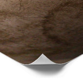 Oude honkbal dicht poster (Hoek)