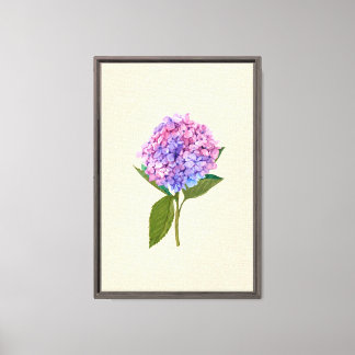 Oude Hortensia Canvas Afdruk