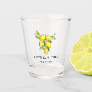 Oude Italiaanse Aquarel Citroenen Shot Glas