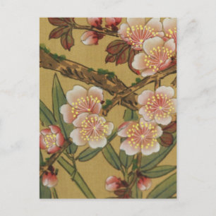 Oude Japanse Kersenbloesem Aziatische Bloemen Briefkaart