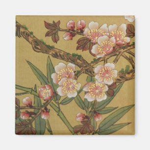 Oude Japanse Kersenbloesem Aziatische Bloemen Magneet