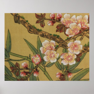 Oude Japanse Kersenbloesem Aziatische Bloemen Poster