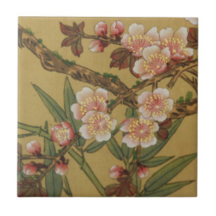 Oude Japanse Kersenbloesem Aziatische Bloemen Tegeltje