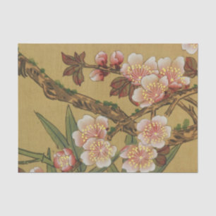 Oude Japanse Kersenbloesem Aziatische Bloemen Tissuepapier