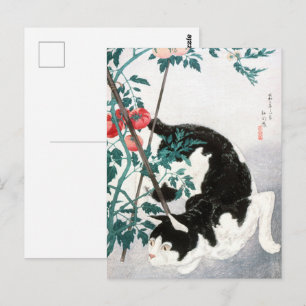Oude Japanse Kunst Zwart Witte Kat Tomaat Briefkaart