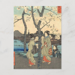 Oude Japanse vrouwen onder Cherry Blossom Briefkaart
