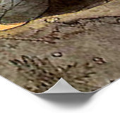 Oude John Bauer Prinses kust Beer op Neus Poster (Hoek)