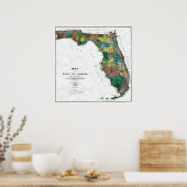 Oude kaart van 1856 Florida Poster (Keuken)