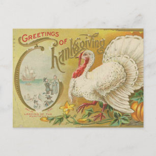 Oude kalkoen voor Thanksgiving Briefkaart