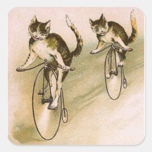 Oude katten op fietsen vierkante sticker