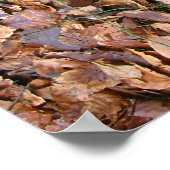 Oude kelder deur vergrendeling poster (Hoek)