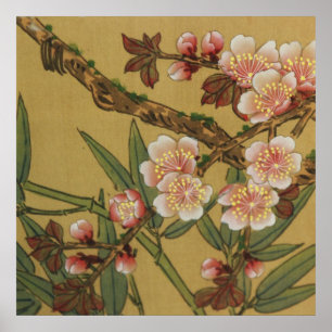 Oude Kersenbloesems Aziatische Japanse Bloemen Poster