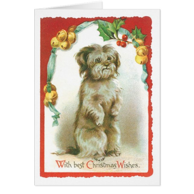 Oude kerst, puppy (Voorkant)