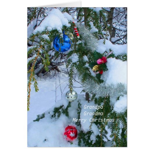 Oude kerstboom (Voorkant)
