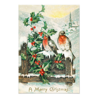 Oude kerstkaart met Roodborstjes, Hulst en Kerk Foto Afdruk