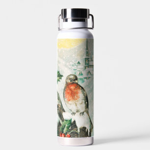 Oude kerstkaart met Roodborstjes, Hulst, Kerk Waterfles