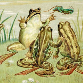 Oude kikker nieuwjaarskaart feestdagen kaart