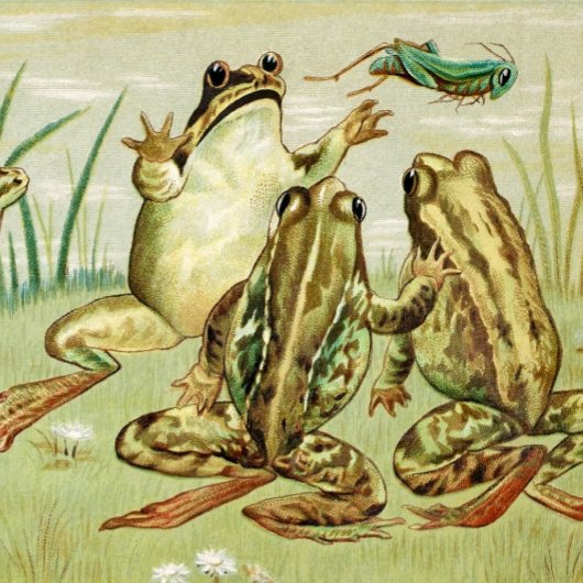 Oude kikker nieuwjaarskaart feestdagen kaart