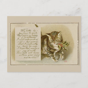 Oude Kittens Kerstkaart Feestdagenkaart
