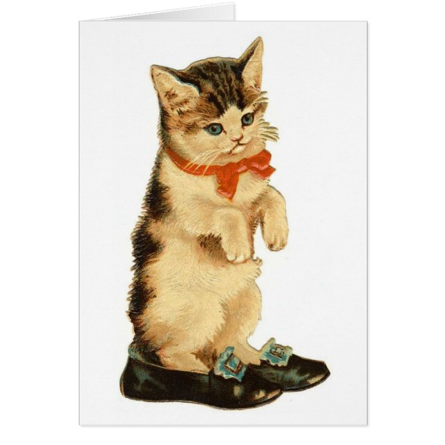 Oude Kitty (Voorkant)