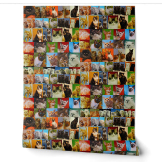 Oude Kitty Collage Behang
