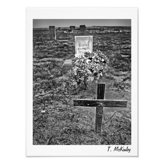 oude kunstschildpad foto afdruk (Voorkant)