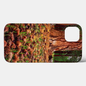 Oude kweek Ponderosa-boom met dennenaaltjes Case-Mate iPhone Case (Achterkant (horizontaal))