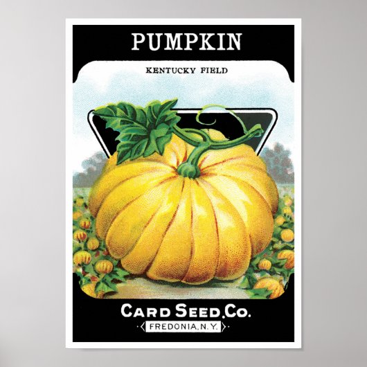 Oude labelkunst voor zaadpakketten, Halloweenpompo Poster (Voorkant)