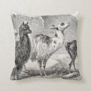 Oude Lama Alpaca Sjabloon Llama's Alpaca's Kussen