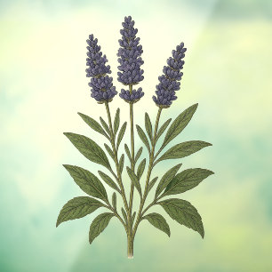 Oude lavendel raamsticker