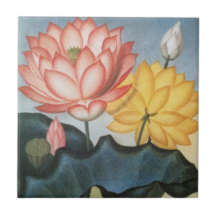 Oude Lotusbloemen, De Heilige Egyptische Boon Tegeltje