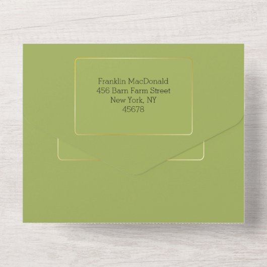 Oude MacDonald Boerderij kinderen Birthday All In One Uitnodiging (Achterkant)