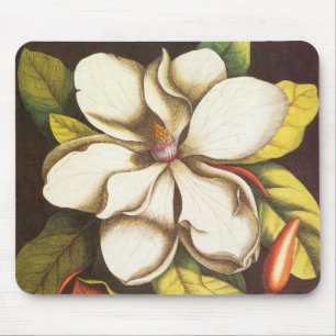 Oude magnoliabloemen plant met zaden muismat