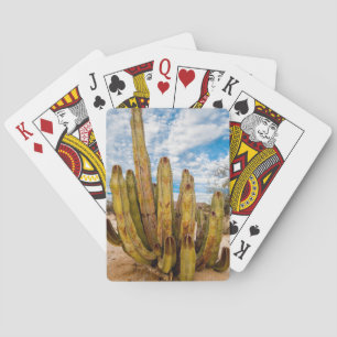 Oude Man Cactus portret, Mexico Pokerkaarten